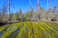Goodale State Park