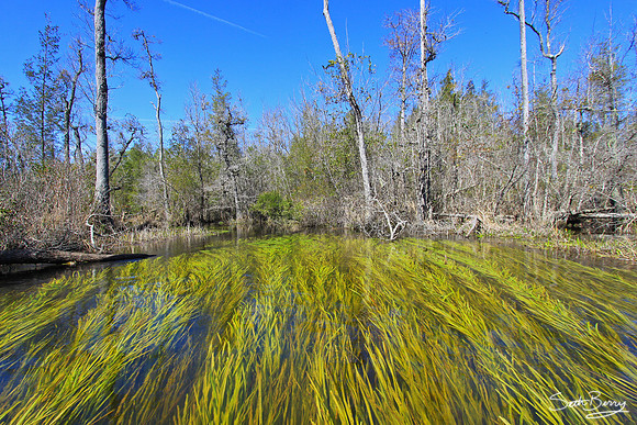 Goodale State Park