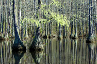 Goodale State Park