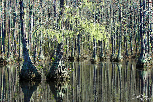 Goodale State Park