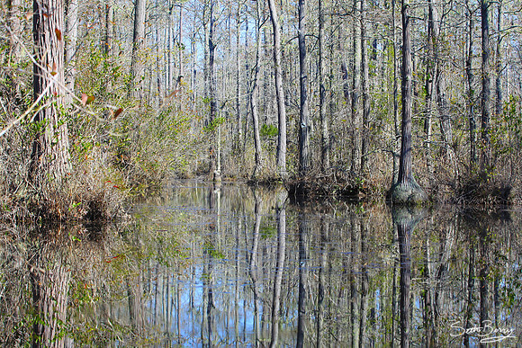 Goodale State Park