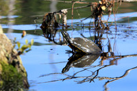 Goodale State Park