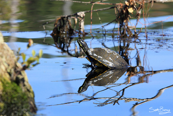 Goodale State Park