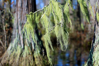 Goodale State Park