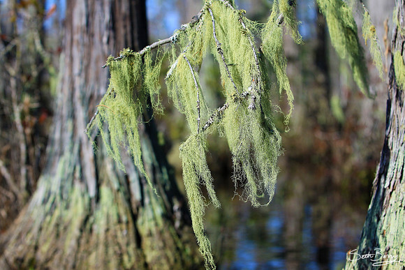 Goodale State Park