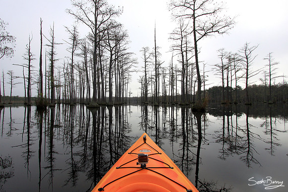 Morning Solitude