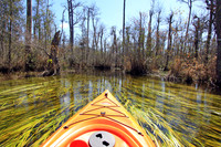 Goodale State Park
