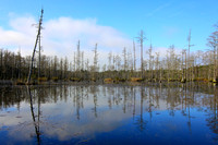 Goodale State Park