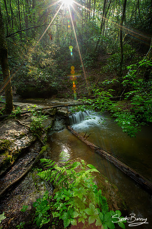 Copperas Creek