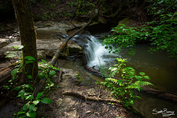 Copperas Creek