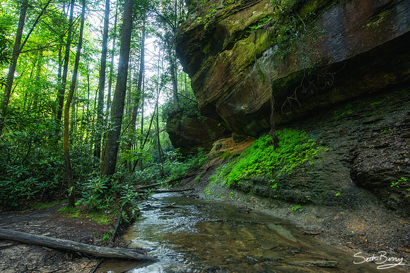 Copperas Creek