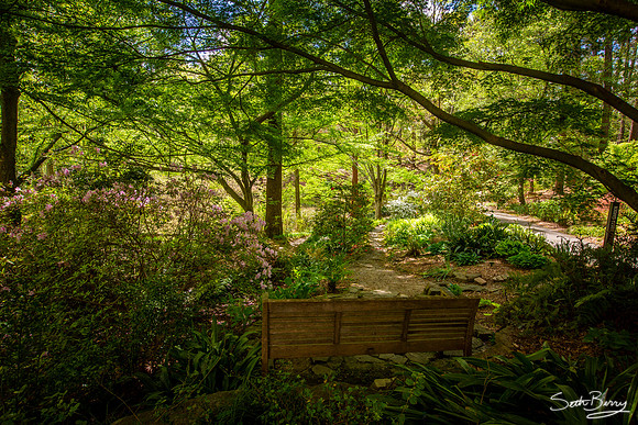 SC Botanical Gardens