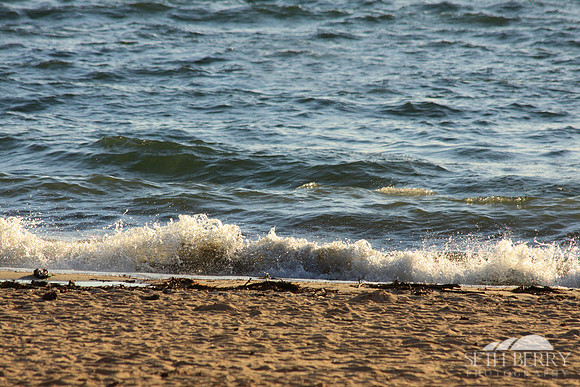 Lake Murray Waves