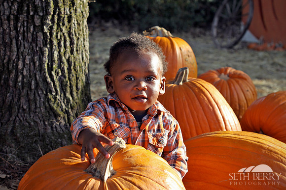 Pumpkin Patch Chi 3