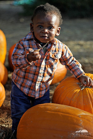 Pumpkin Patch Chi 11