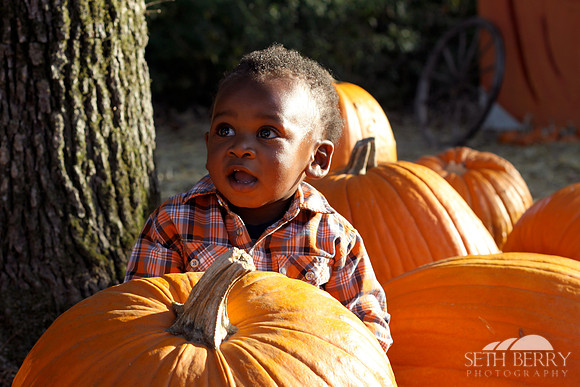 Pumpkin Patch Chi 2
