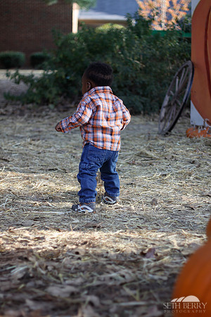 Chi Walking 1