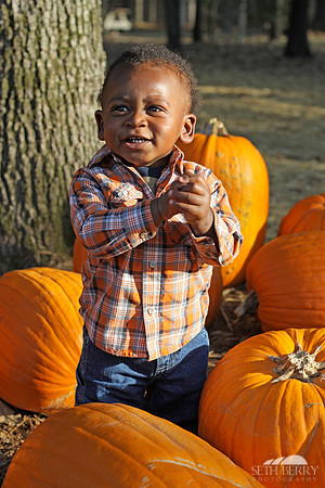 Pumpkin Patch Chi 7