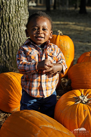 Pumpkin Patch Chi 6