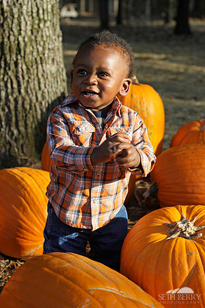 Pumpkin Patch Chi 8