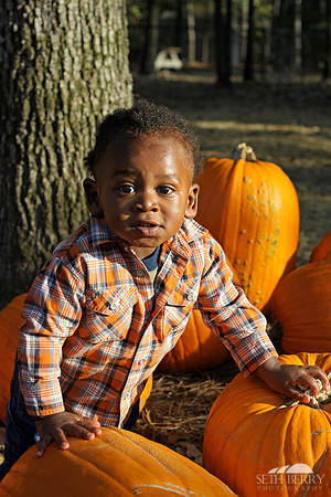Pumpkin Patch Chi 4