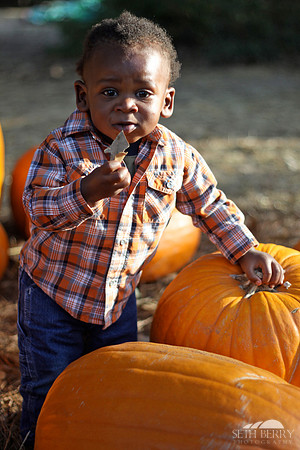 Pumpkin Patch Chi 10