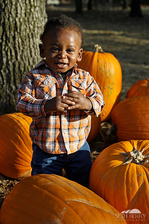 Pumpkin Patch Chi 5