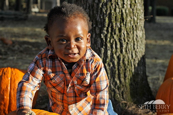 Pumpkin Patch Chi 4
