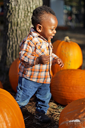 Pumpkin Patch Chi 14