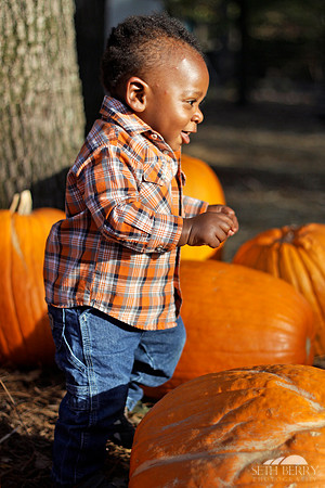 Pumpkin Patch Chi 15