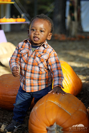 Pumpkin Patch Chi 13