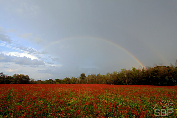 Easter Rainbow