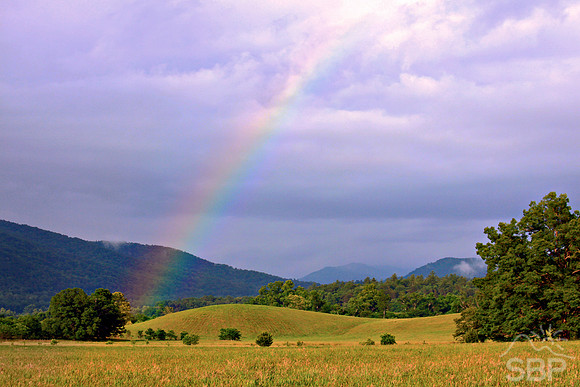 God's Promise
