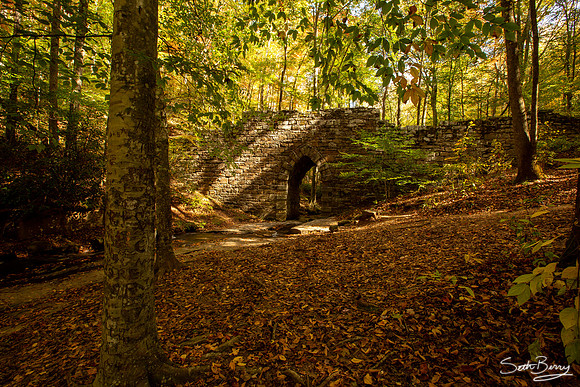 Poinsett Bridge, SC