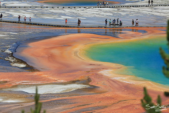 Grand Prismatic Spring
