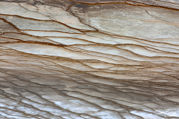 Textures of the Grand Prismatic Spring