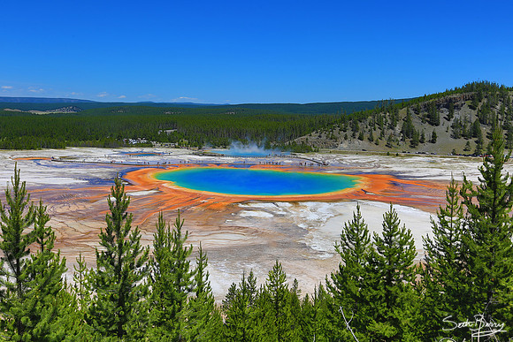 Grand Prismatic Spring