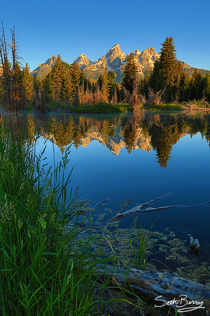Schwabacher Landing Sunrise
