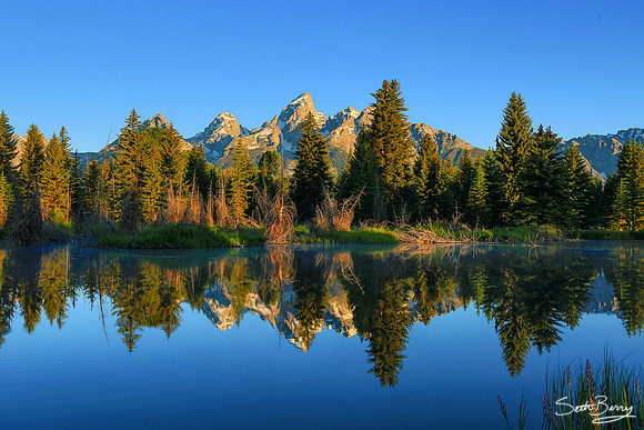 Schwabacher Landing Sunrise