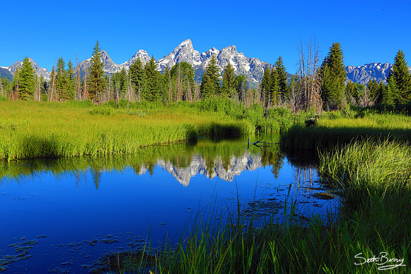 Schwabacher Landing Morning