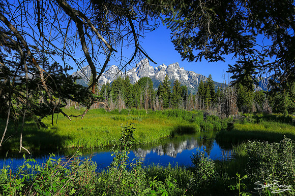 Schwabacher Landing Morning