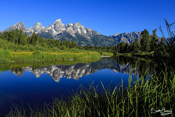 Schwabacher Landing Morning