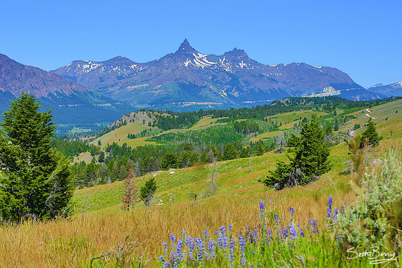 Beartooth Highway