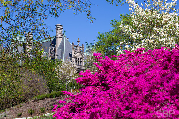 Biltmore Estate