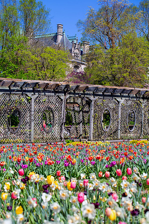 Biltmore Estate