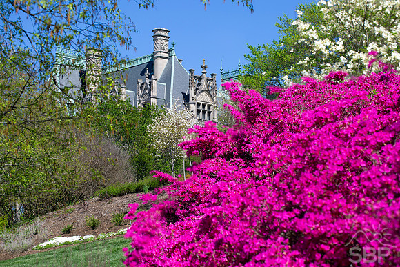 Biltmore Estate