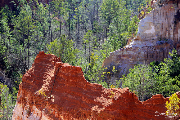 Providence Canyon, Georgia 7