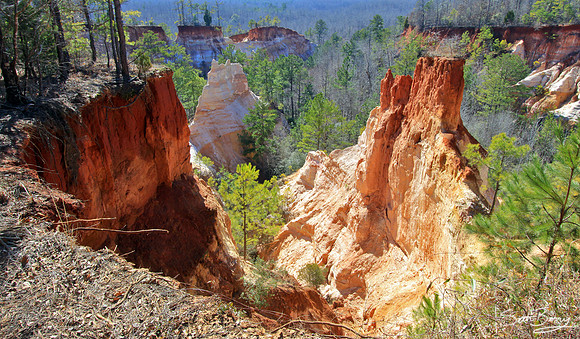 Providence Canyon, Georgia 9