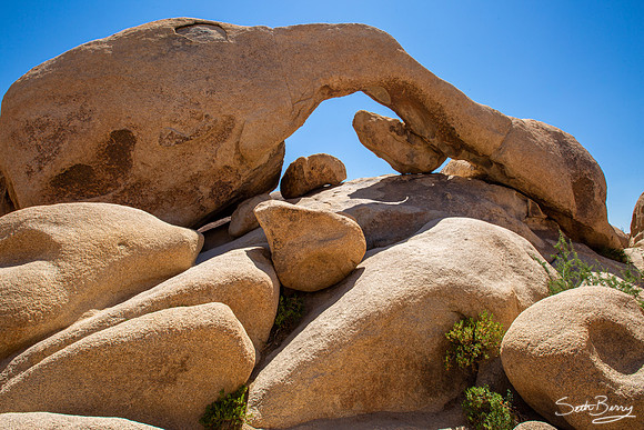 Arch Rock