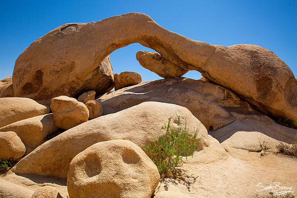 Arch Rock